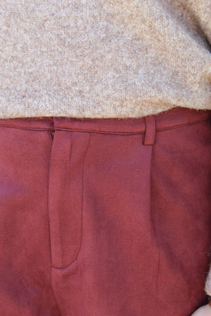 CIDER SIDE SUEDE SHORTS