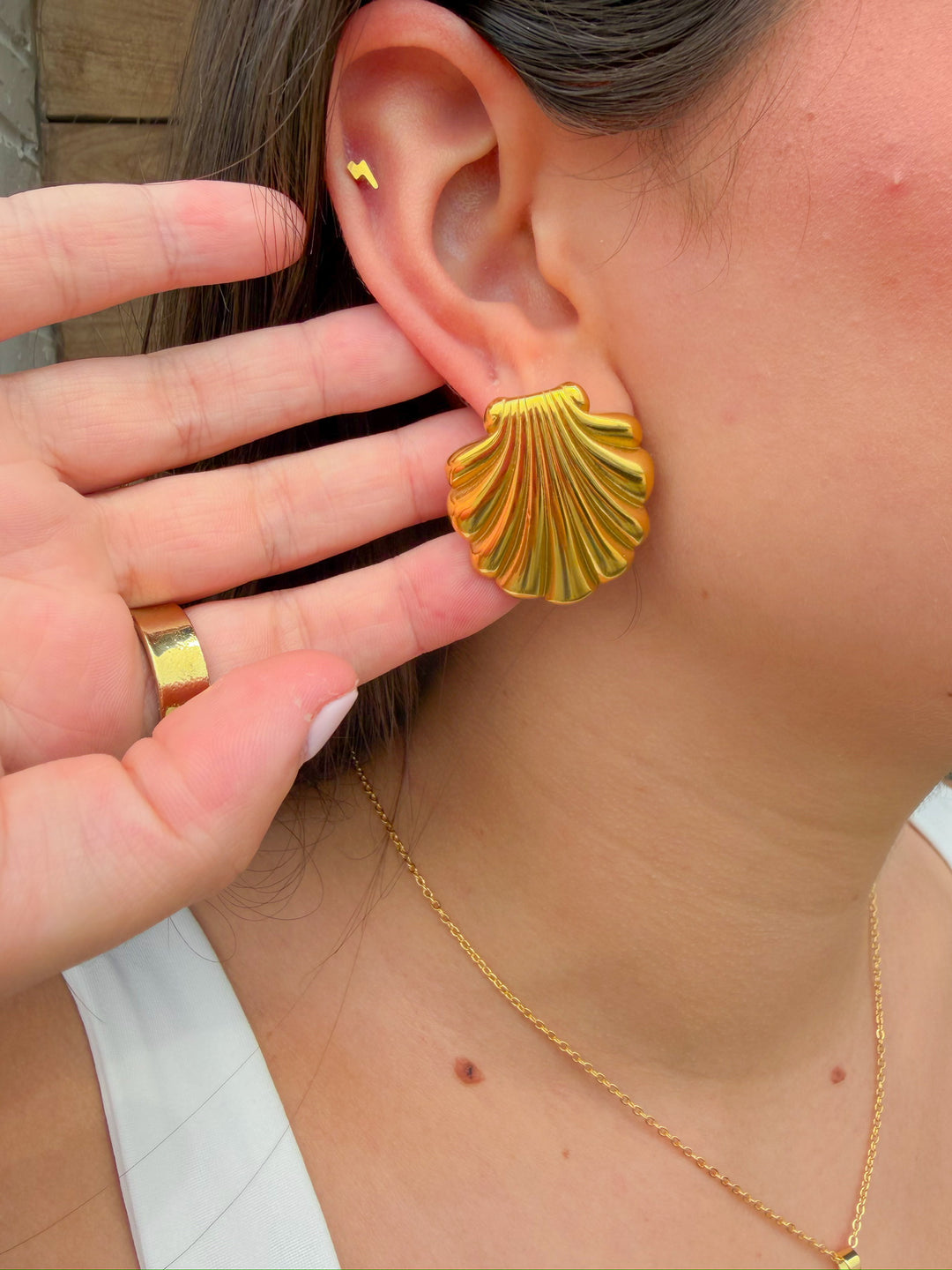 THE SHORE SEASHELL STUD