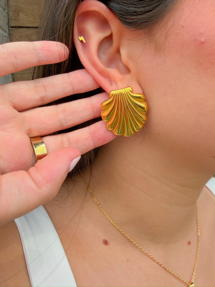 THE SHORE SEASHELL STUD