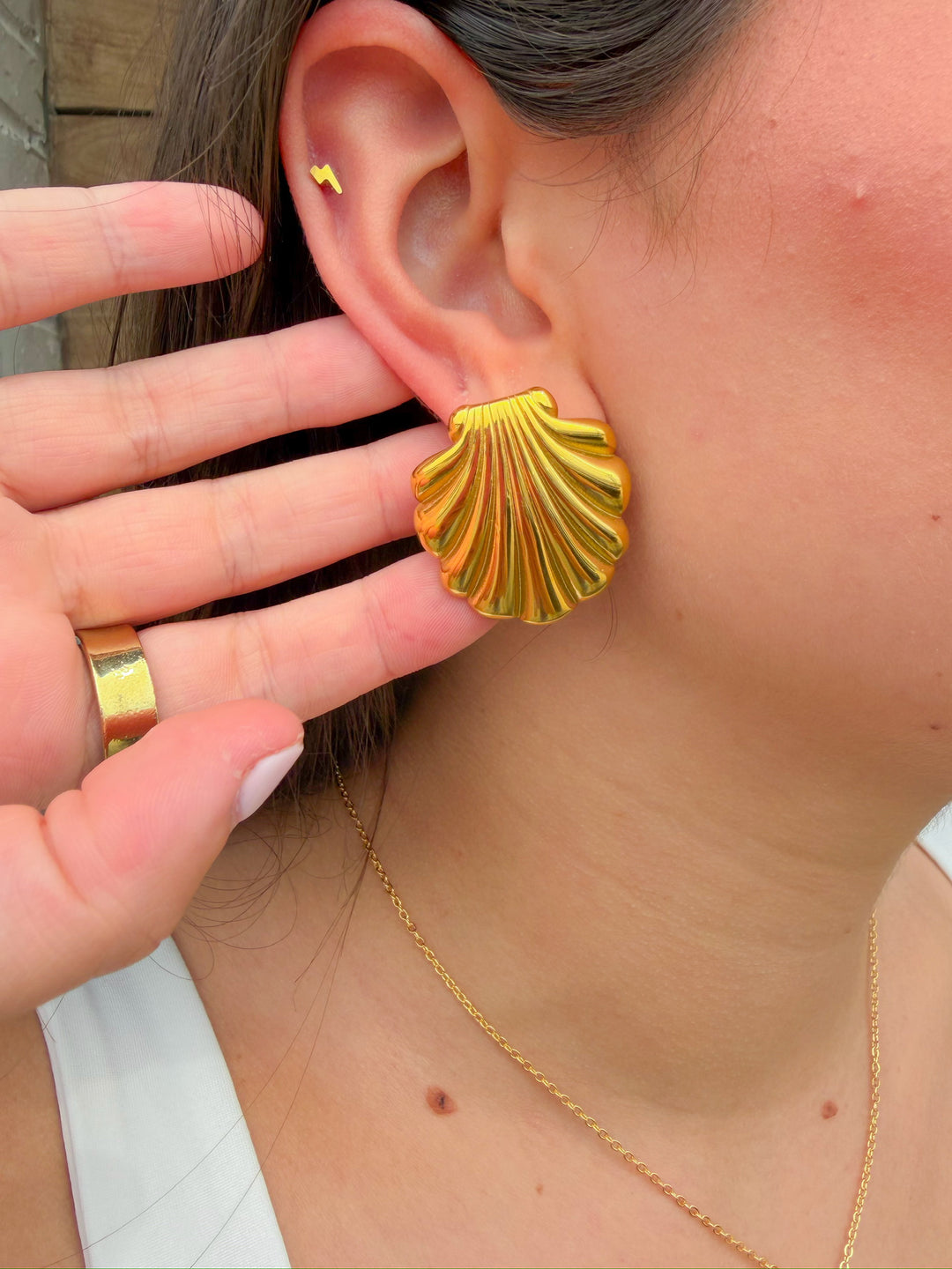 THE SHORE SEASHELL STUD