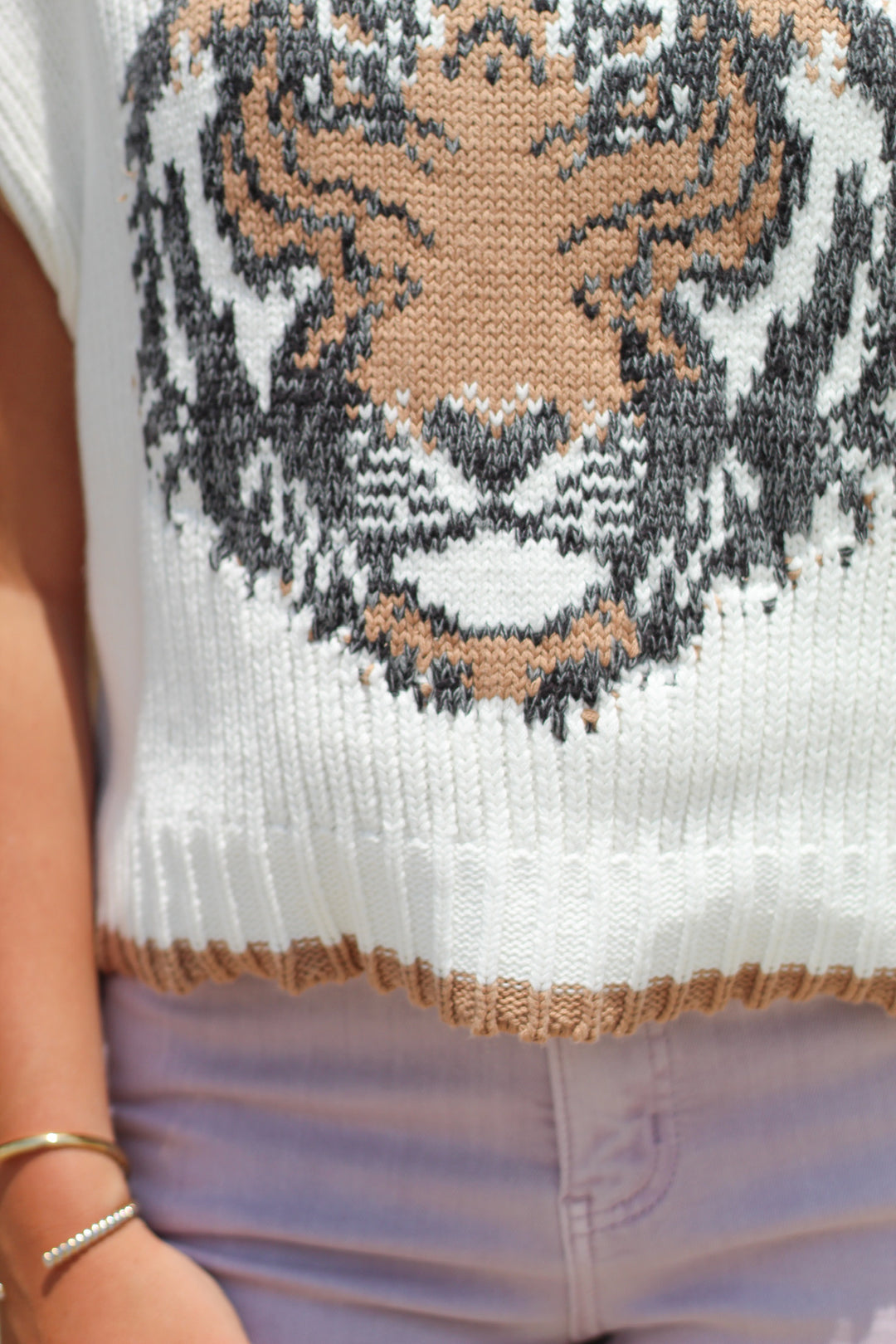 READY TO ROAR TIGER SWEATER VEST