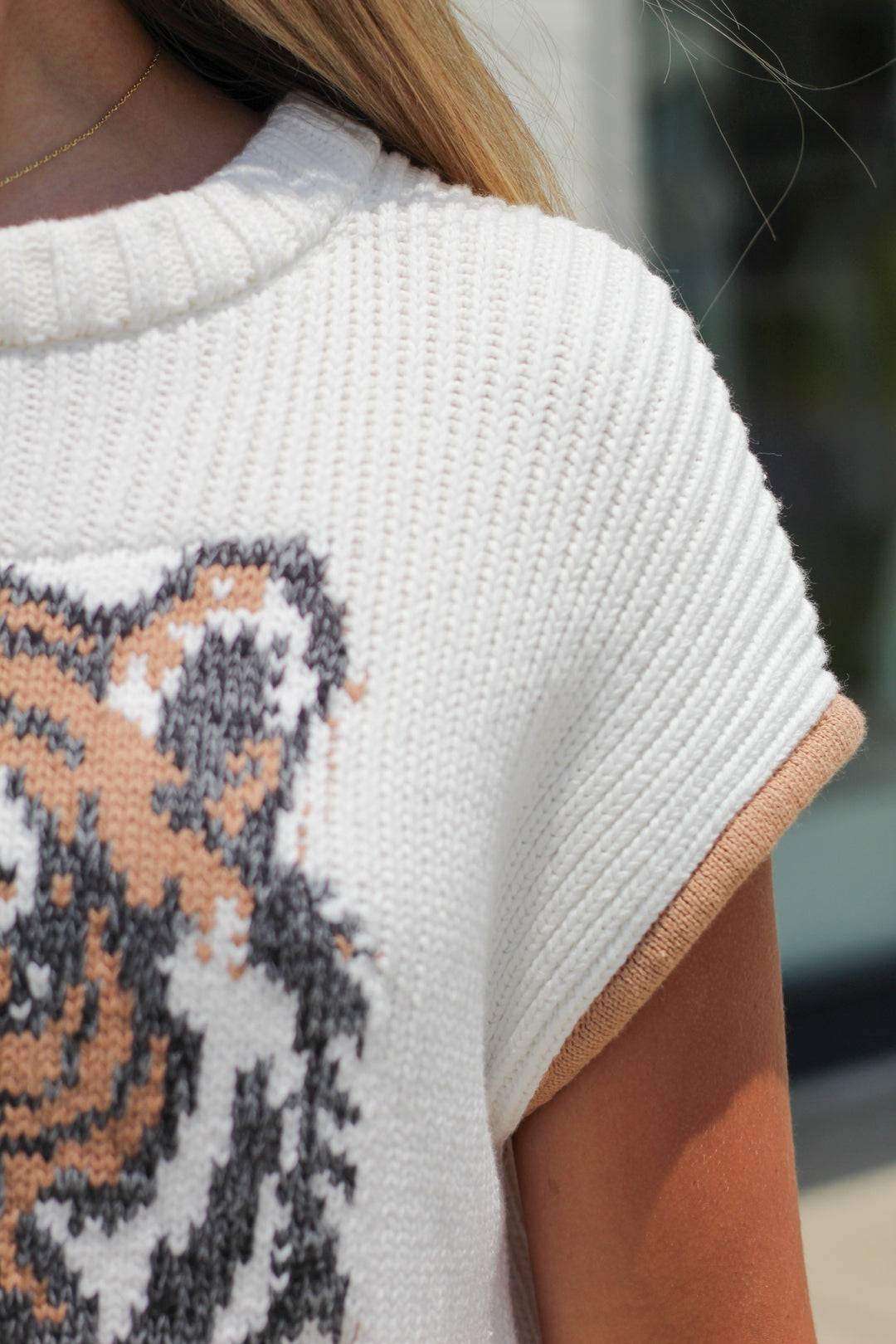 READY TO ROAR TIGER SWEATER VEST