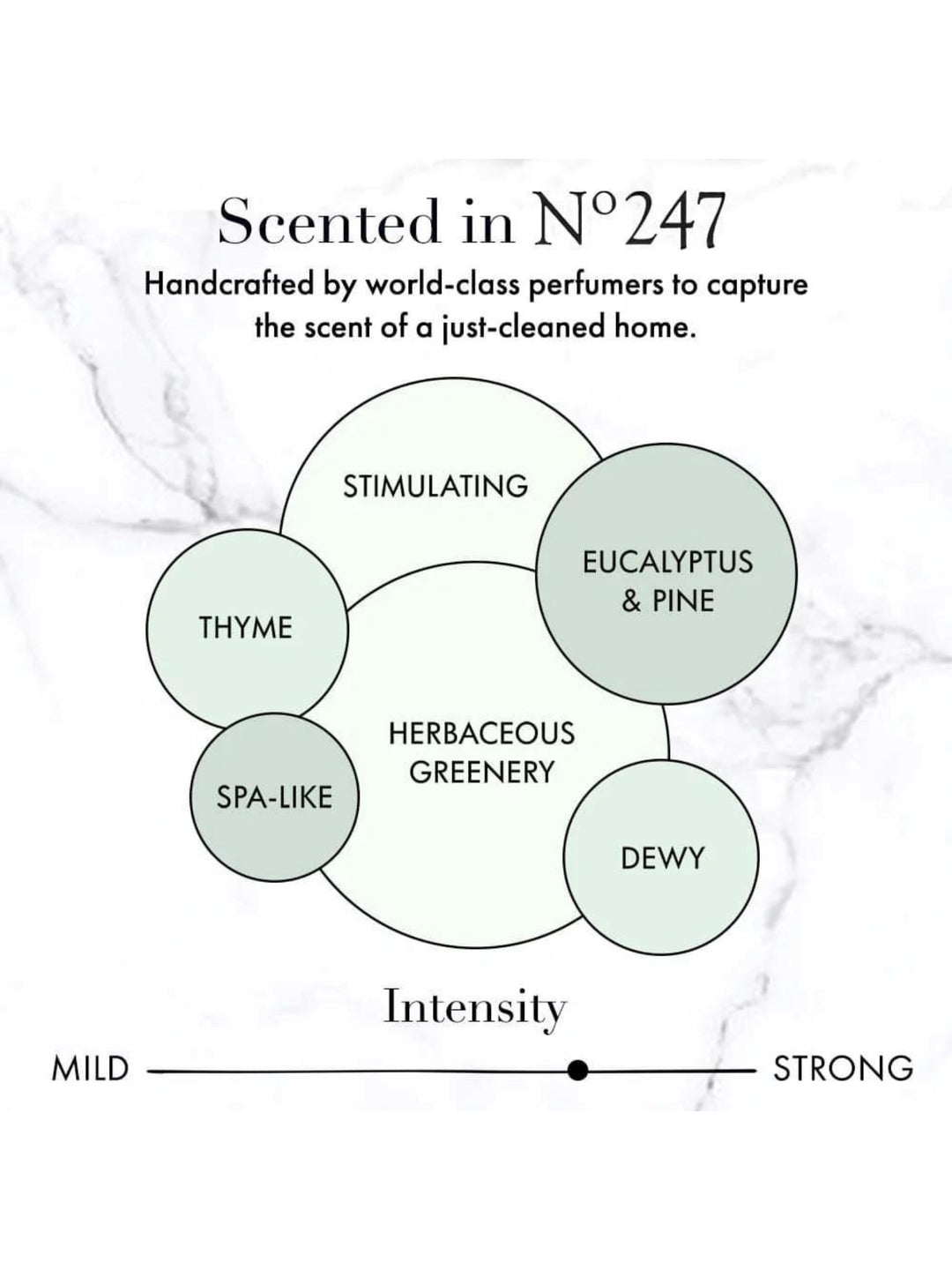 SURFACE CLEANER - THE LAUNDRESS