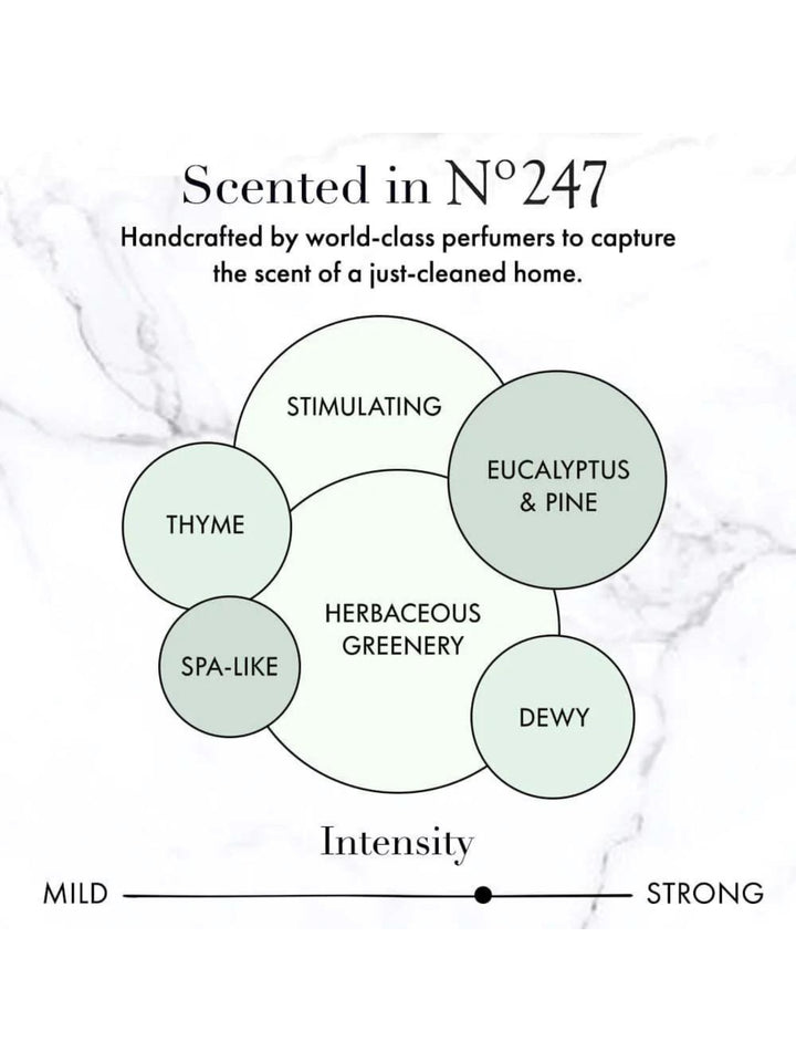 SURFACE CLEANER - THE LAUNDRESS